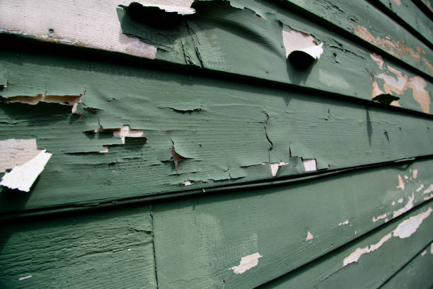 Best Storm Damage Siding Repair  in Greenville, MS